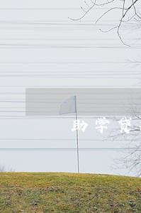 助学贷款逾期上2019征信吗 助学贷款逾期上2019征信吗