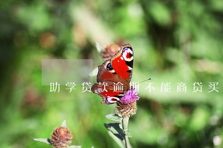 助学贷款逾期不能商贷买房吗 助学贷款逾期不能商贷买房吗