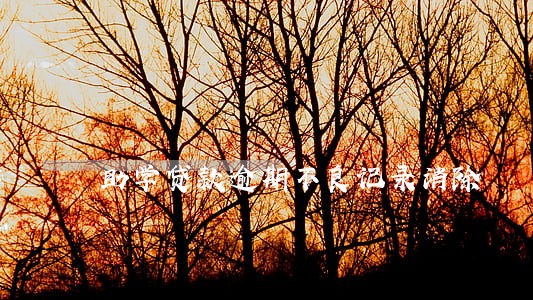 助学贷款逾期不良记录消除