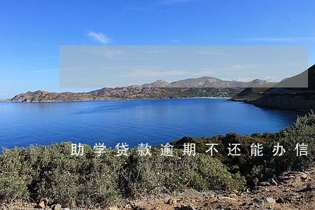 助学贷款逾期不还能办信用卡吗 助学贷款逾期不还能办信用卡吗