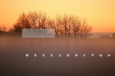 助学贷款逾期两天影响征信吗 助学贷款逾期两天影响征信吗