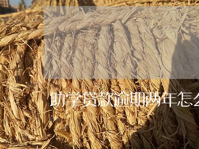 助学贷款逾期两年怎么补救
