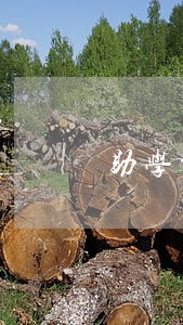 助学贷款逾期两次的后果 助学贷款逾期两次的后果