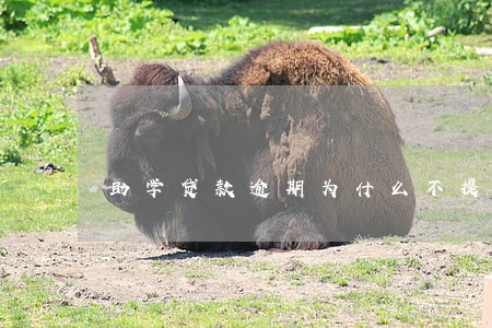 助学贷款逾期为什么不提醒