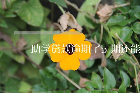 助学贷款逾期了5期还能房贷 助学贷款逾期了5期还能房贷