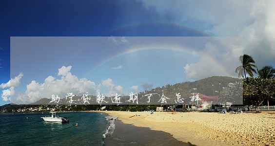 助学贷款逾期了会怎样 助学贷款逾期了会怎样