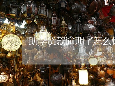 助学贷款逾期了怎么恢复征信