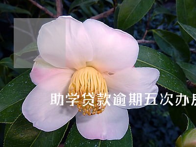 助学贷款逾期五次办房贷 助学贷款逾期五次办房贷