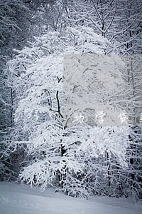助学贷款逾期从什么时候算