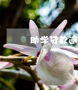 助学贷款逾期会进入征信 助学贷款逾期会进入征信