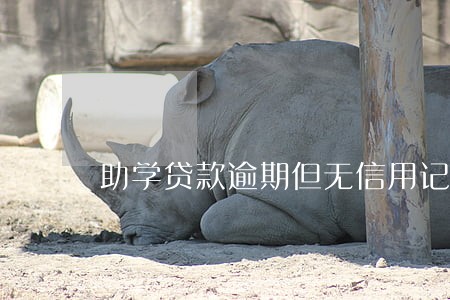 助学贷款逾期但无信用记录 助学贷款逾期但无信用记录