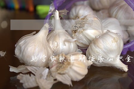助学贷款逾期住房公积金贷 助学贷款逾期住房公积金贷