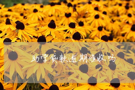 助学贷款逾期催收吗 助学贷款逾期催收吗