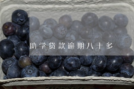 助学贷款逾期八十多 助学贷款逾期八十多