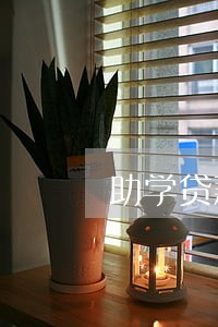 助学贷款逾期公务员 助学贷款逾期公务员