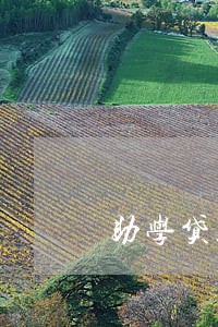 助学贷款逾期几十次 助学贷款逾期几十次
