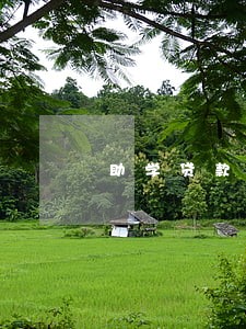 助学贷款逾期几块钱