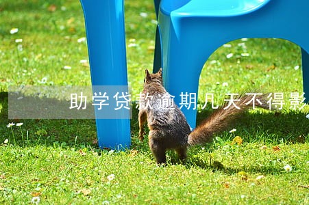 助学贷款逾期几天不得影响 助学贷款逾期几天不得影响