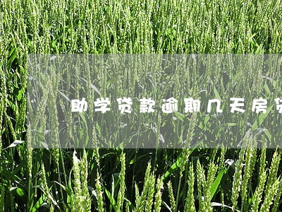助学贷款逾期几天房贷成功 助学贷款逾期几天房贷成功