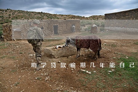 助学贷款逾期几年能自己消除 助学贷款逾期几年能自己消除