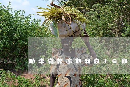助学贷款逾期利息18期
