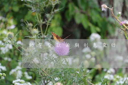 助学贷款逾期利息农行 助学贷款逾期利息农行