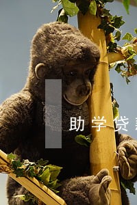助学贷款逾期利息和个人征信 助学贷款逾期利息和个人征信