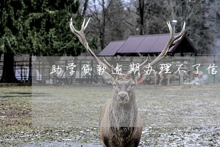 助学贷款逾期办理不了信用卡 助学贷款逾期办理不了信用卡