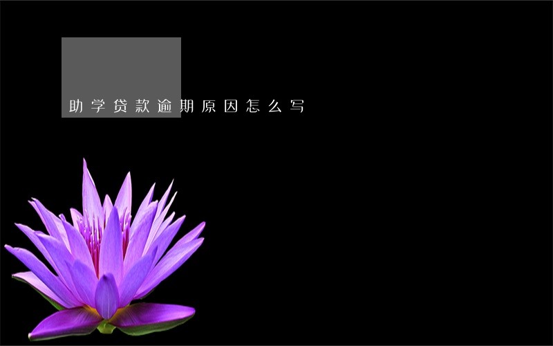 助学贷款逾期原因怎么写 助学贷款逾期原因怎么写