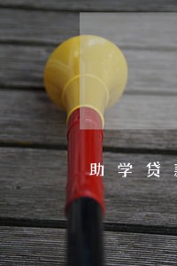 助学贷款逾期可以担保吗 助学贷款逾期可以担保吗
