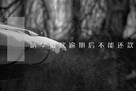 助学贷款逾期后不能还款 助学贷款逾期后不能还款