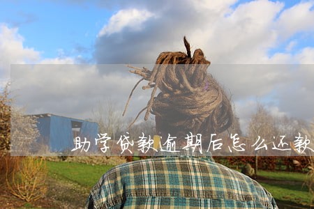 助学贷款逾期后怎么还款 助学贷款逾期后怎么还款