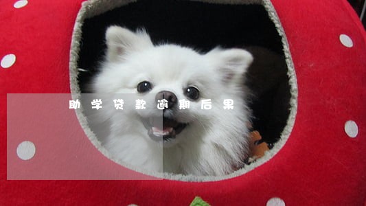 助学贷款逾期后果