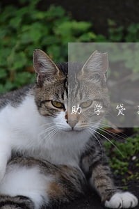 助学贷款逾期后能续贷吗 助学贷款逾期后能续贷吗