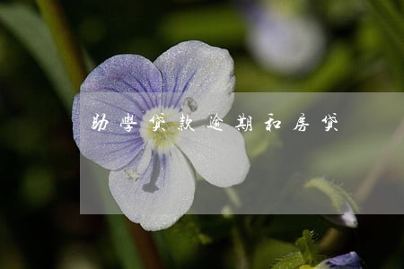 助学贷款逾期和房贷 助学贷款逾期和房贷