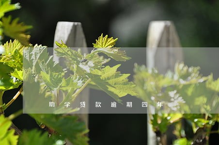 助学贷款逾期四年 助学贷款逾期四年