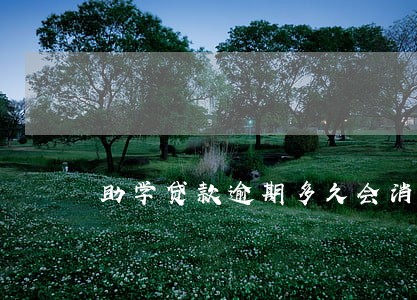 助学贷款逾期多久会消掉 助学贷款逾期多久会消掉