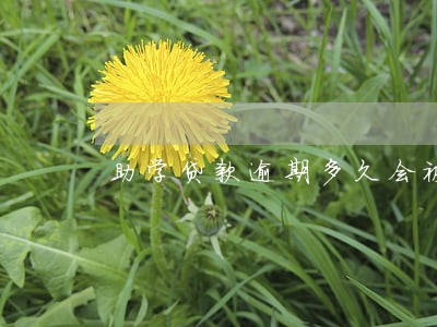 助学贷款逾期多久会被催收 助学贷款逾期多久会被催收