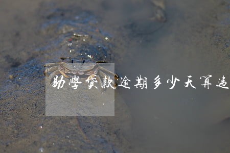 助学贷款逾期多少天算违约 助学贷款逾期多少天算违约