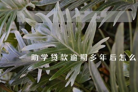 助学贷款逾期多年后怎么还款 助学贷款逾期多年后怎么还款