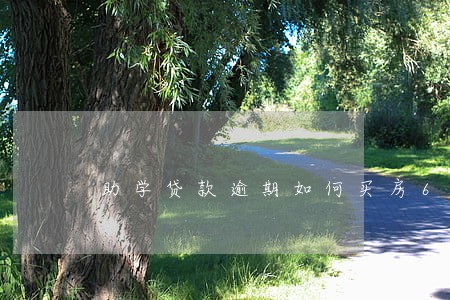 助学贷款逾期如何买房6 助学贷款逾期如何买房6