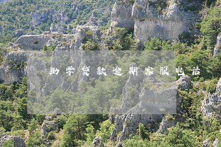 助学贷款逾期客服电话 助学贷款逾期客服电话