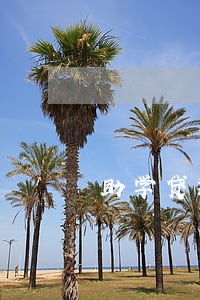 助学贷款逾期对 助学贷款逾期对
