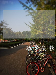 助学贷款逾期影响信用吗 助学贷款逾期影响信用吗