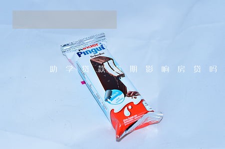 助学贷款逾期影响房贷吗6 助学贷款逾期影响房贷吗6