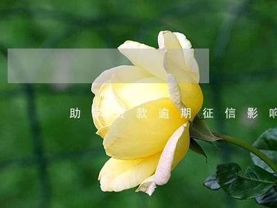 助学贷款逾期征信影响房贷 助学贷款逾期征信影响房贷
