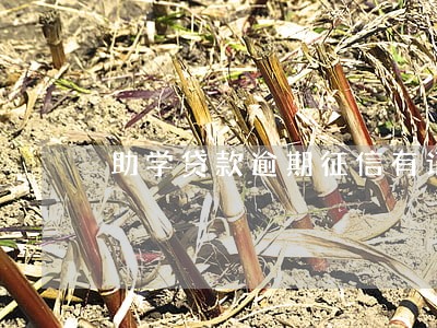 助学贷款逾期征信有记录 助学贷款逾期征信有记录