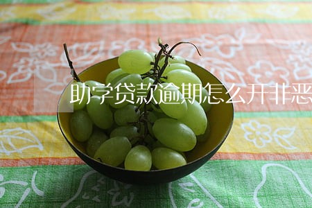 助学贷款逾期怎么开非恶意 助学贷款逾期怎么开非恶意