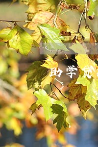 助学贷款逾期怎么看 助学贷款逾期怎么看