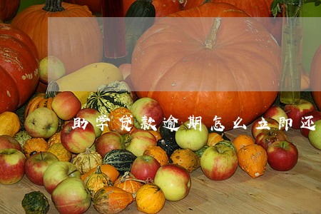 助学贷款逾期怎么立即还 助学贷款逾期怎么立即还